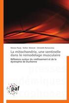 Couverture du livre « La mitochondrie, une sentinelle dans le remodelage musculaire » de  aux éditions Presses Academiques Francophones