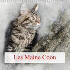 Couverture du livre « Le chat maine coon est le chat » de Gaymard Alain aux éditions Calvendo