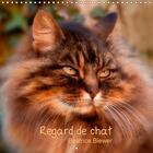 Couverture du livre « Regard de chat calendrier mural 2018 300 300 mm square - toute l intensite du regard d » de Biewer B aux éditions Calvendo