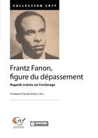 Couverture du livre « Frantz Fanon, figure du depassement ; regards croisés sur l'esclavage » de  aux éditions Encrage