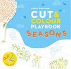 Couverture du livre « Cut and colour playbook: seasons » de Anouck Boisrobert aux éditions Ivy Press