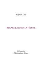 Couverture du livre « Regardez dans la fêlure » de Raphael Ader aux éditions Leo Scheer