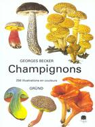Couverture du livre « Champignons » de Becker aux éditions Grund