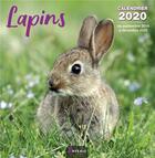 Couverture du livre « Calendrier lapins (2020) » de  aux éditions Artemis