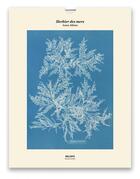 Couverture du livre « Herbier des mers » de Anna Atkins aux éditions Reliefs Editions