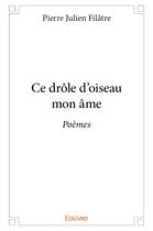 Couverture du livre « Ce drole d'oiseau mon ame - poemes » de Julien Filatre P. aux éditions Edilivre