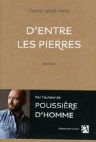 Couverture du livre « D'entre les pierres » de David Lelait-Helo aux éditions Anne Carriere