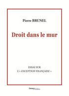 Couverture du livre « Droit dans le mur » de Pierre Brunel aux éditions Melibee