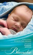 Couverture du livre « Le secret d'une naissance ; troublante promesse » de Gina Wilkins et Elizabeth Bevarly aux éditions Harlequin