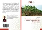 Couverture du livre « Etude de la nematofaune associe au bananier au burkina faso » de  aux éditions Editions Universitaires Europeennes