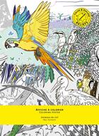 Couverture du livre « Animaux du ciel ; affiche à colorier » de  aux éditions Reliefs Editions