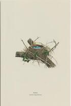 Couverture du livre « Carnet - merle d'amerique (robin, turdus migratorius) » de Jones G E. aux éditions Reliefs Editions