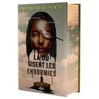 Couverture du livre « Là où gisent les endormies » de Faridah Abike-Iyimide aux éditions Ellipsis