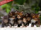 Couverture du livre « Agenda calendrier chats 2014 » de  aux éditions Hugo Image