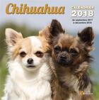 Couverture du livre « Chihuahua (édition 2018) » de  aux éditions Artemis
