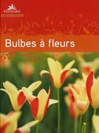 Couverture du livre « Guide des bulbes à fleurs » de  aux éditions Horticolor