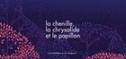 Couverture du livre « La chenille, la chrysalide et le papillon » de Tom Haugomat et Mimi Bartelhemy aux éditions Cmde