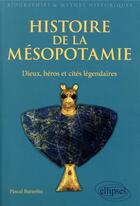 Couverture du livre « Histoire de la Mésopotamie ; dieux, héros et cités légendaires » de Pascal Butterlin aux éditions Ellipses