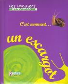 Couverture du livre « Un escargot » de Elisabeth Pegeon aux éditions Rustica