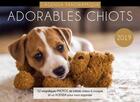 Couverture du livre « Agenda panoramique adorables chiots 2019 » de  aux éditions Editions 365