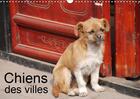 Couverture du livre « La vie canine en ville calendr » de Rollier Jean Lu aux éditions Calvendo