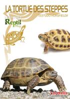Couverture du livre « La tortue des steppes » de Wills Thomas aux éditions Animalia