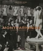 Couverture du livre « Montparnasse : quand Paris éclairait le monde » de Mathyeu Le Bal aux éditions Albin Michel