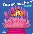 Couverture du livre « Livre qui se cache a la mer » de  aux éditions Lito