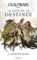 Couverture du livre « Guild wars t.2 ; le lien de la destinée » de J. Robert King aux éditions Panini