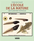 Couverture du livre « L'ecole de la nature - les planches deyrolle » de Yves Paccalet aux éditions Hoebeke