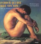 Couverture du livre « L'amour qui ose dire son nom (broche) » de Dominique Fernandez aux éditions Stock