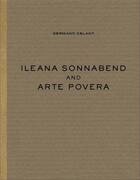 Couverture du livre « Ileana sonnabend and arte povera » de  aux éditions Levy Gorvy