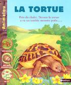 Couverture du livre « Tortue » de Piquemal/Merlier aux éditions Nathan