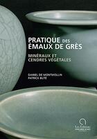 Couverture du livre « Pratique des émaux de grès ; minéraux et cendres végétales » de Daniel De Montmollin et Patrick Bute aux éditions Ateliers D'art De France