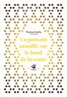 Couverture du livre « Un poussin mouillé au bord de la route » de Thomas Scotto aux éditions Thierry Magnier