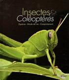 Couverture du livre « Insectes et coléoptères » de  aux éditions Komet