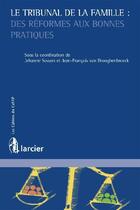 Couverture du livre « Le tribunal de la famille ; des réformes aux bonnes pratiques » de Jean-Francois Van Drooghenbroeck et Jehanne Sosson aux éditions Larcier