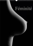 Couverture du livre « Feminite calendrier mural 2020 din a3 vertical - prises erotiques du corps femi (édition 2020) » de Sven Rausch aux éditions Calvendo