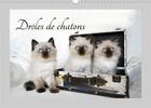 Couverture du livre « Drôles de chatons (Calendrier mural 2020 DIN A3 horizontal) ; Ils vous donneront le sourire (Calendrier mensuel, 14 Pages ) » de Jennifer Chrystal aux éditions Calvendo