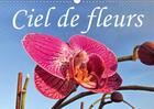 Couverture du livre « Beaute des fleurs sous un angl » de Frank Grabnar aux éditions Calvendo