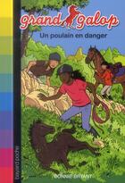 Couverture du livre « Grand galop ; un poulain en danger » de Bonnie Bryant aux éditions Bayard Jeunesse