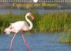 Couverture du livre « Camargue des flamants (édition 2020) » de Henry Ausloos aux éditions Calvendo