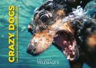 Couverture du livre « Crazy dogs : les chiens les plus cabots de la publicité mondiale » de Benjamin Garrigues aux éditions Telemaque