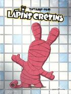 Couverture du livre « The Lapins Crétins : coffret vol.3 : Tomes 5 et 6 » de Thitaume et Romain Pujol aux éditions Les Deux Royaumes