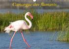 Couverture du livre « Camargue des flamants (édition 2020) » de Henry Ausloos aux éditions Calvendo