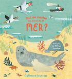 Couverture du livre « Qui se cache au bord de la mer ? » de Katharine Mcewen aux éditions Gallimard-jeunesse