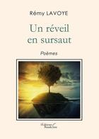 Couverture du livre « Un réveil en sursaut » de Lavoye Remy aux éditions Baudelaire