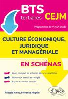 Couverture du livre « Bts tertiaires - cejm en schemas - culture economique, juridique et manageriale » de Amey/Magnin aux éditions Ellipses