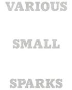 Couverture du livre « Various small sparks » de Anne-Valerie Gasc aux éditions Florence Loewy