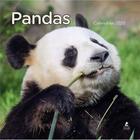 Couverture du livre « Calendrier pandas (édition 2020) » de  aux éditions Place Des Victoires